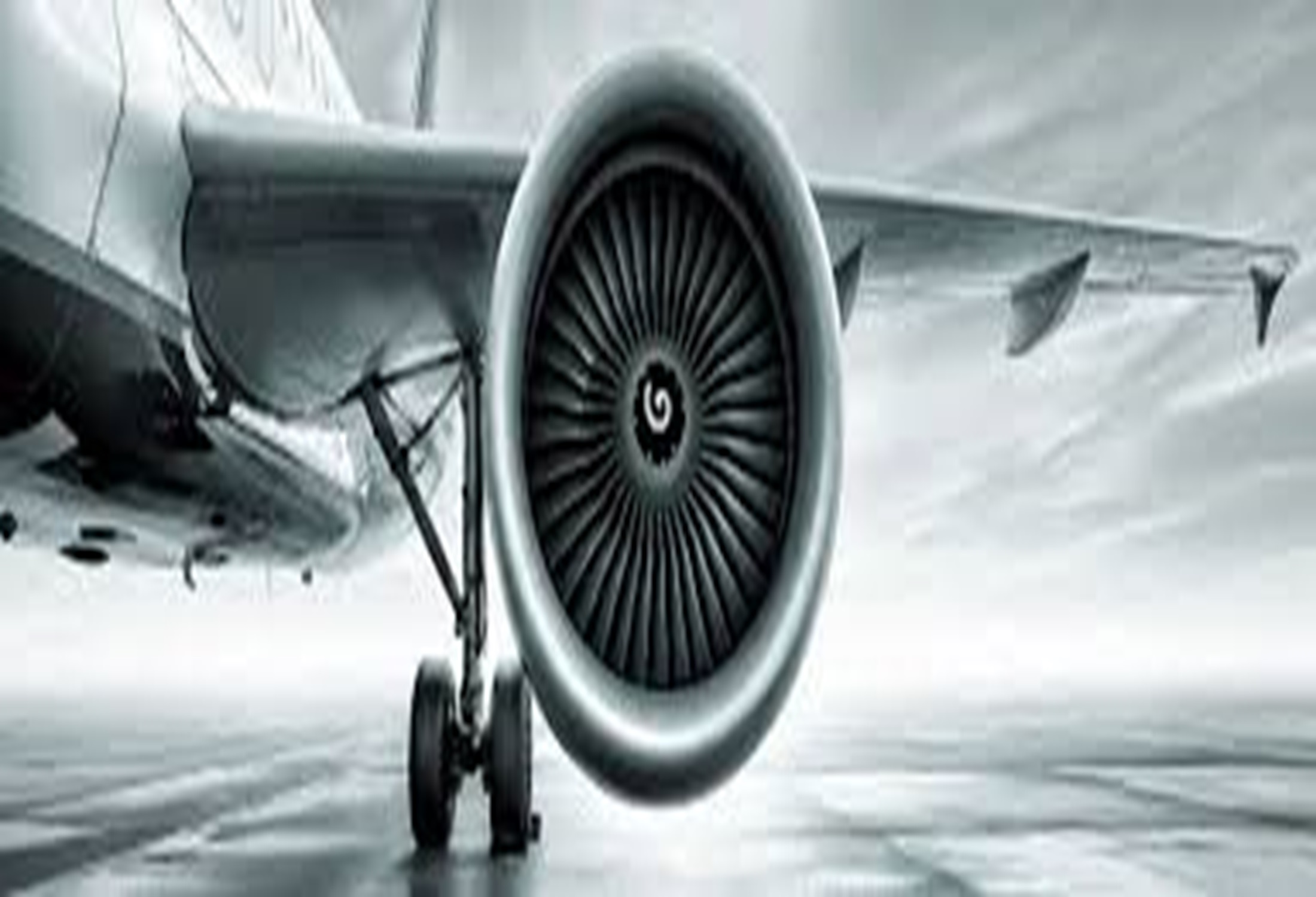 Web and Social Optimization Services